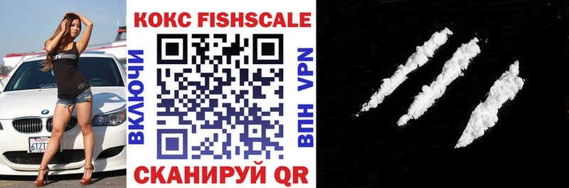 как найти закладки  Волосово  Кокаин Fish Scale 