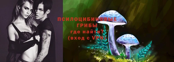 первитин Белокуриха