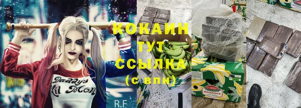 spice Беломорск