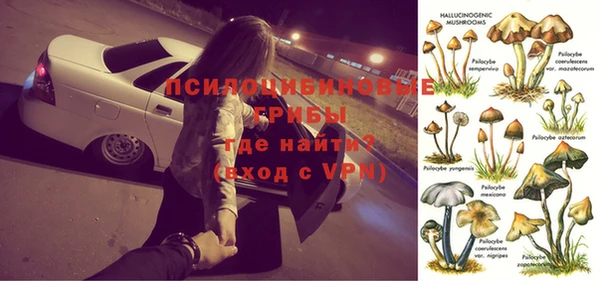 spice Беломорск