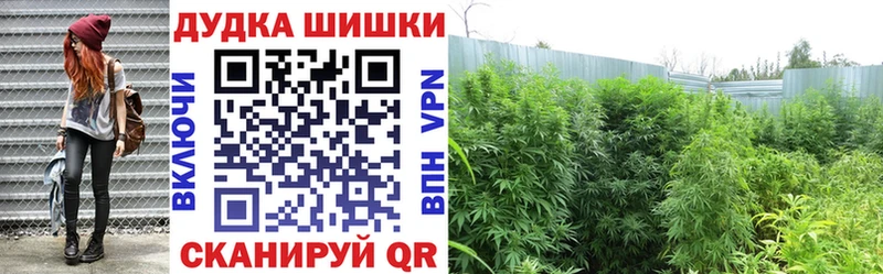 продажа наркотиков  Волосово  Каннабис THC 21% 